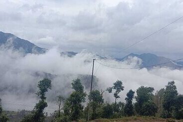 Hotel The Vintage Hill Village   Himalayan Boutique Resort