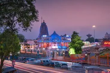 Wingston A Treehouse Hotel Barsana