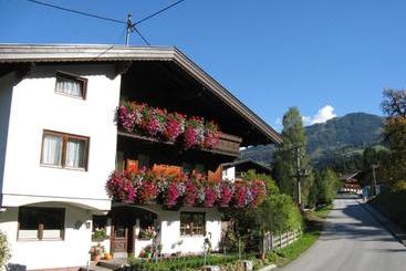 Отель Alpbachtal Appartements