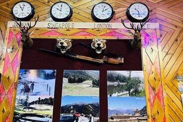 Hotel Shimla Hills International