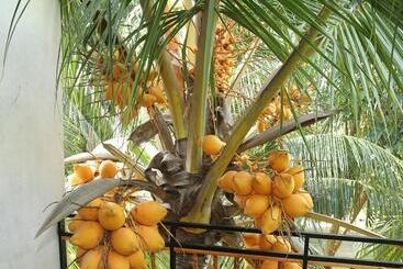Отель Peacock Heaven Ahangama