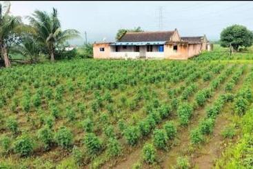 Weekend Holiday Farmhouse Malshej Ghat, Naneghat