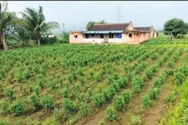 Weekend Holiday Farmhouse Malshej Ghat, Naneghat