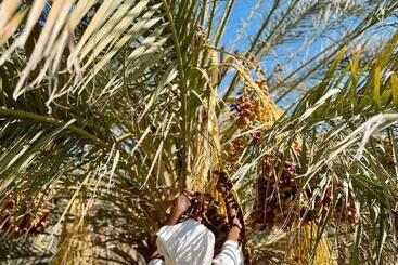 Herberge Wostel Djerba