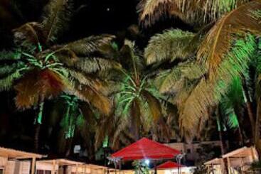 Hotel Bellini Morjim Resort Best Resort In Morjim Goa