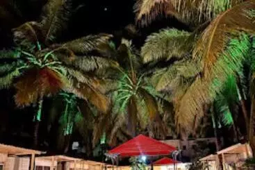 Hotel Bellini Morjim Resort Best Resort In Morjim Goa