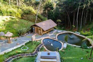 Pension Zen Medellin Maya