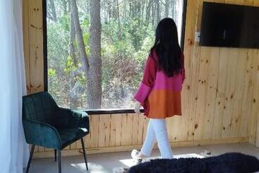 Hotel Bosque Las Delfinas