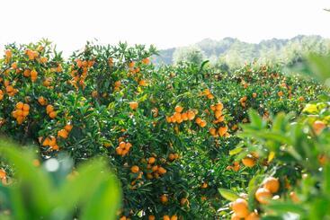 Hotel Minshuku Hirono