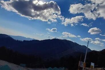 Pensão Thetreehousejibhi