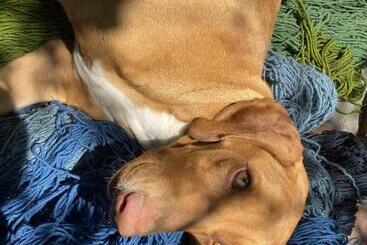 צימר Casa Gutiérrez