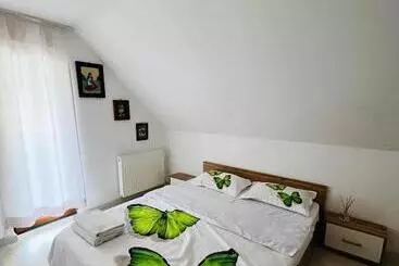 Pensione La Baciu