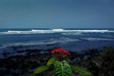 酒店 Oceanfront Bungalows   Paradise Rentals