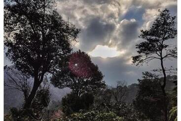 Coorg Hotel And Cottage