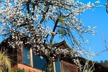 Bed and Breakfast Aarya Homes