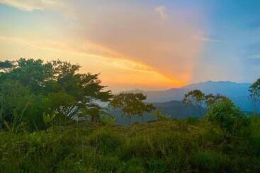 Finca Vista Hermosa   Deluxe Bamboo Cabana