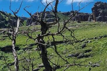 צימר Yellowwood Cottage