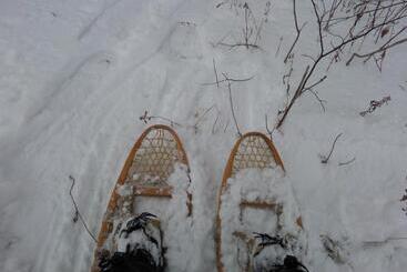 تختخواب و صبحانه Inn On The Moraine