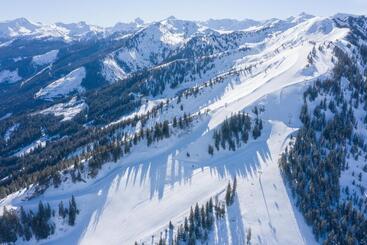 Pensionat Berghof   Riesneralm