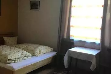 Hotel Guesthouse Mountain View
