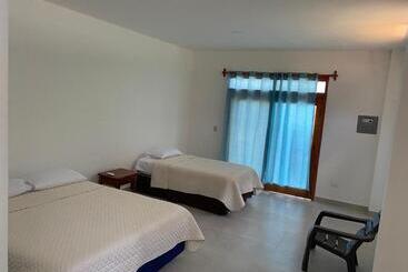 Pension Penguin House