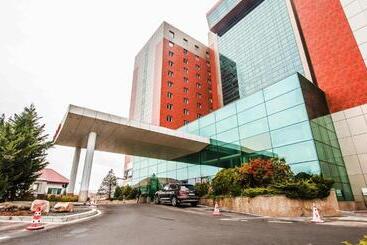 هتل آپارتمان Sudului Apart