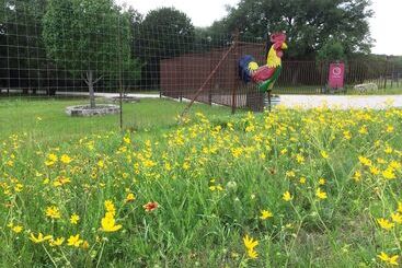 Bellavida B&b And Retreat