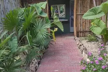 Kapselihotelli Asana Glamping