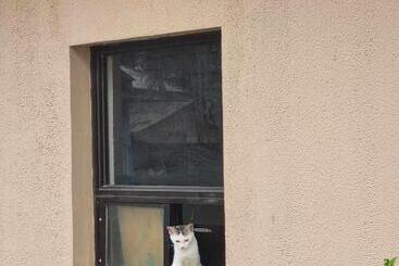 Hotel Le Verde Lodge