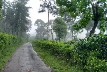 Pensão Shree Vigneshwara Silent Homestay