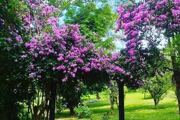 客栈 Chalés Karunâ