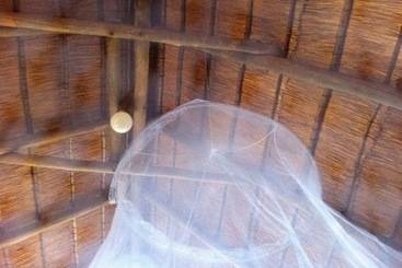 هتل Lion Roars Lodge