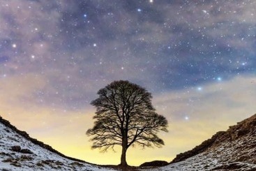 住所 Beautiful 3 Bed House In Chester Le Street