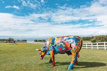 آپارتمان Amber Resort Jeju