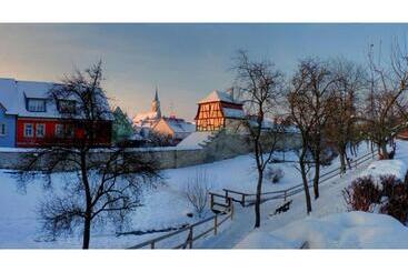 Biobausewein Wein Hotel Leben