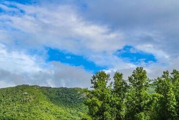 Апартаменты Smoketree Lodge