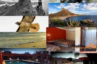 فندق Malibu Guaymas