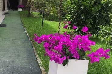 Hotel Springhills Quito Airport