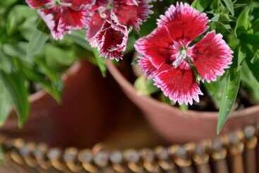 La Tua Casa Hotel Boutique