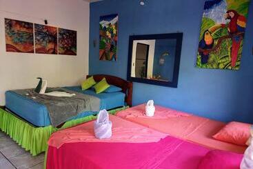 مبيت وإفطار Cabinas Tortuguero Natural