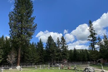 Szálloda Dream Haven Guest Ranch