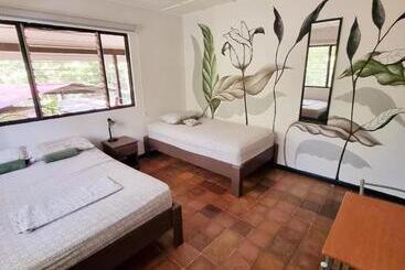Casa Pura Vida Surf Hostel Tamarindo Costa Rica