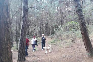 Отель El Cardenal