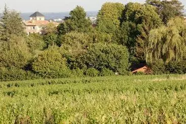 Bed & Breakfast Le Montellier