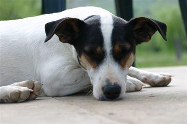 مبيت وإفطار La Fontaine