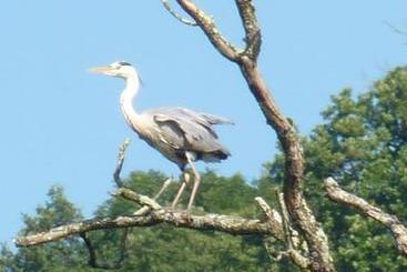 בית מלון כפרי Auberge Du Viaduc