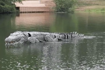 ホテル Hôtel Restaurant Du Lac