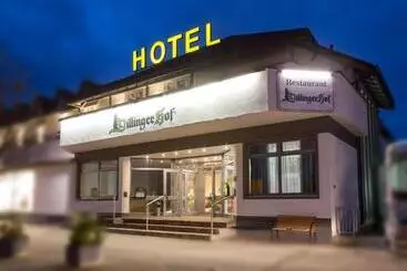 Hotel Dillinger Hof