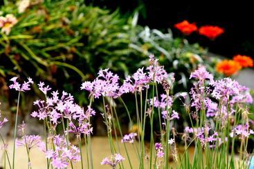 فندق Juliette Posada Boutique Ex Posada La Villa