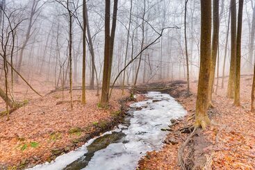 茅舍 Secluded Naples Cabin W/ Deck & Stream Views